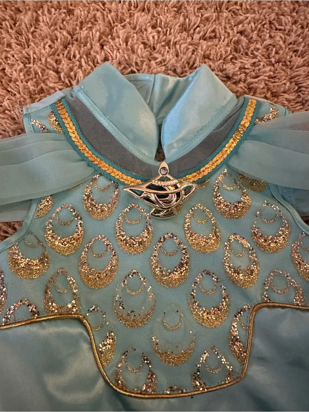 Disney Princess Jasmine Costume from Disneyland